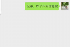 乌当为什么选择专业追讨公司来处理您的债务纠纷？